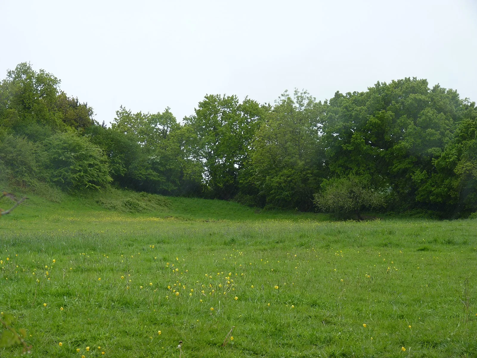 Caerau Hillfort